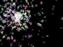 Particle Explosion