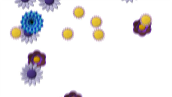 Flowers Rendered