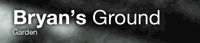 Bryan’s Ground: Garden